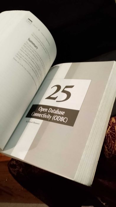 Visual C++5 Developer's Guide - David Bennet