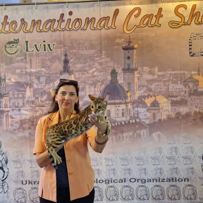 Бенгалка в добрі руки