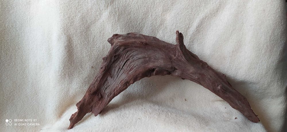 Korzeń 5 drift-36cm