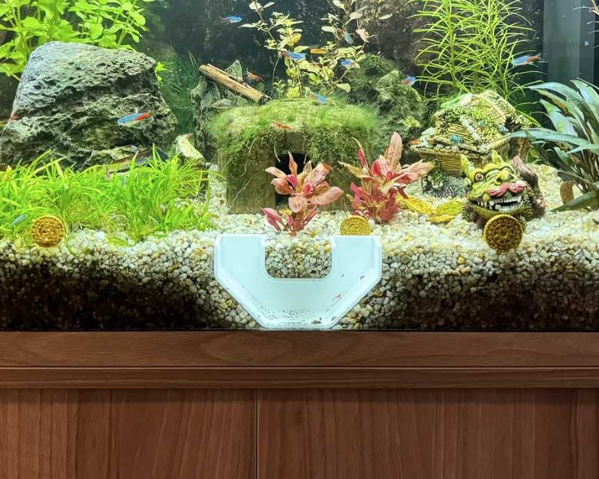 Caverna de Camarão / Shrimp Tunnel - Vários tamanhos e formatos