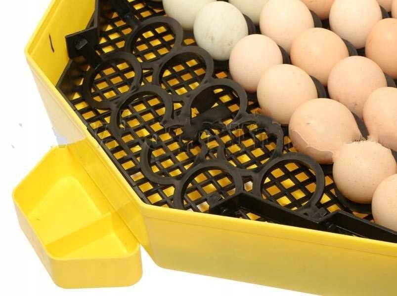 Inkubator lęgowy CLEO 5 z LCD i tacą półautomatyczną, 41 - 60 jaj