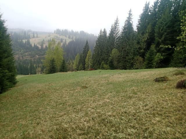 Продам земельну ділянку площею 40 сотих.Деталі за телефоном.