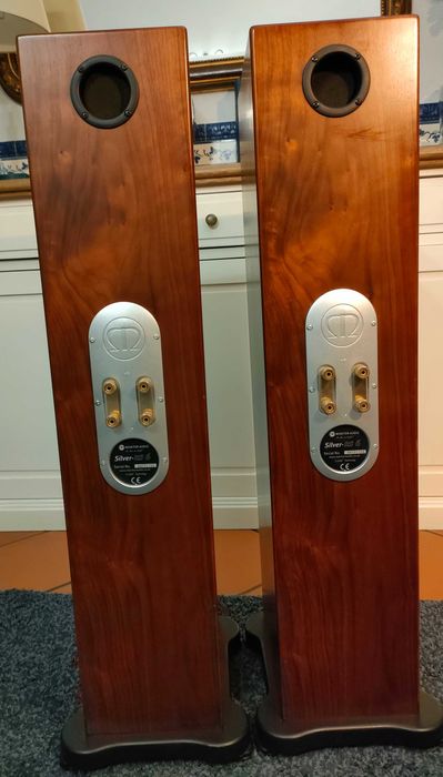 Colunas Monitor Audio RS6