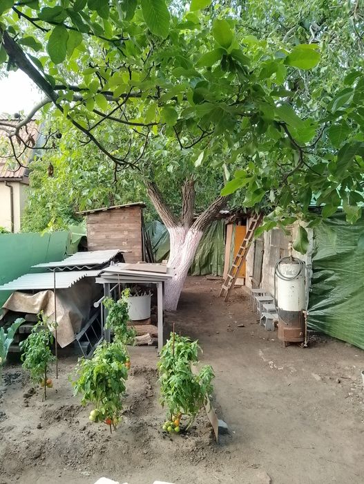 Продам или (Обмен) дом Амур Весёлая