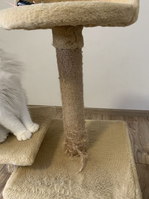 Домик кігтеточка б.у.