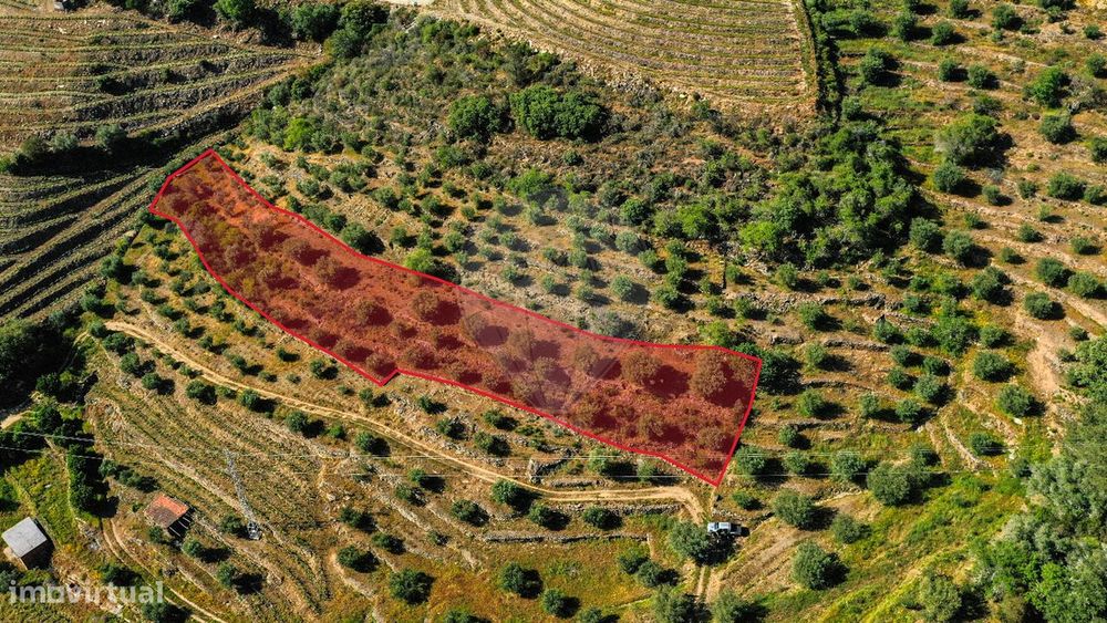 Terreno  para venda
