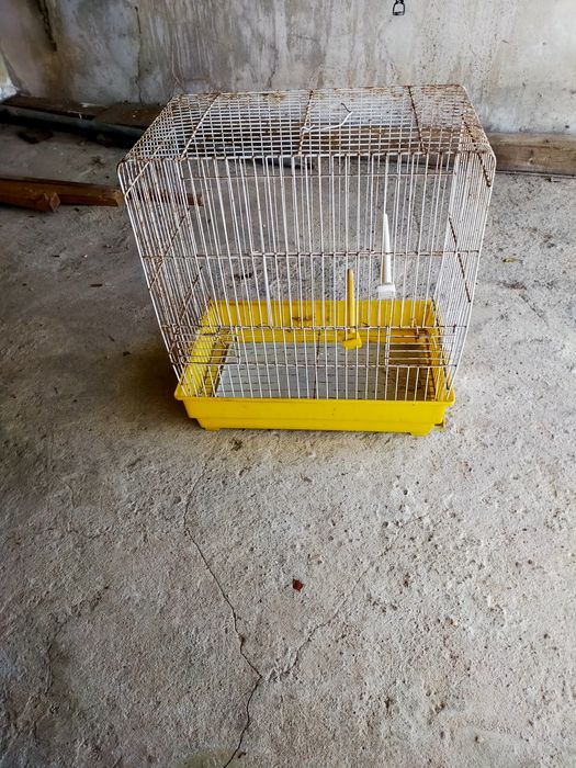 Gaiolas para passarinhos