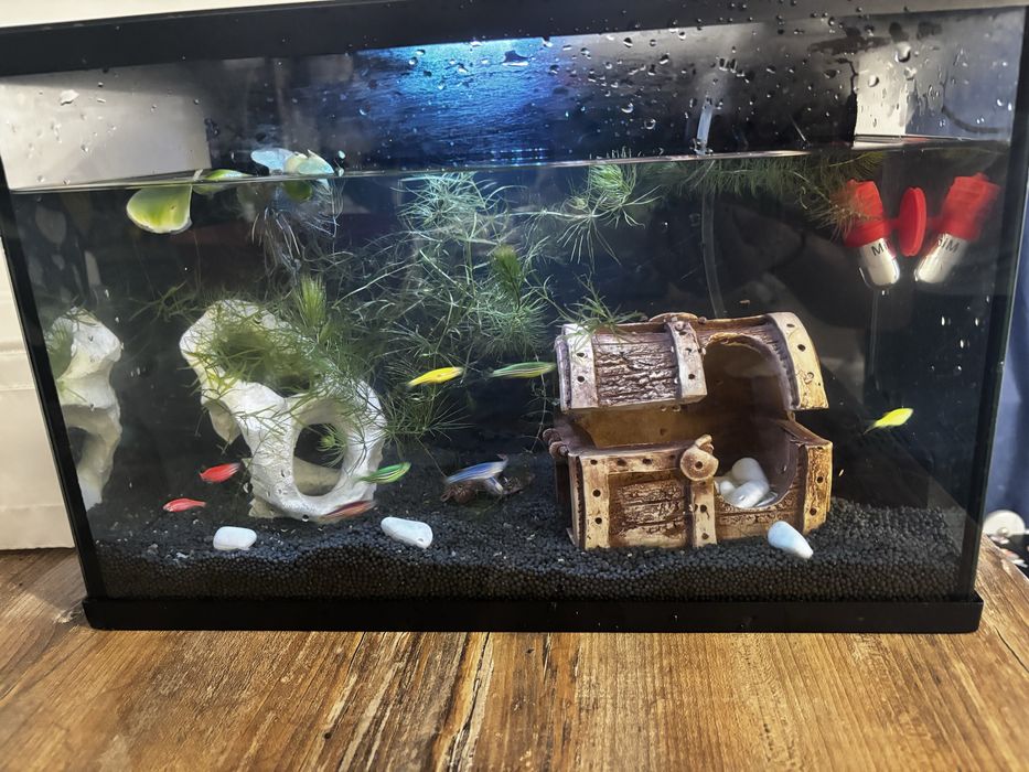 Акваріум 20 літрів, фільтр, обігрівач