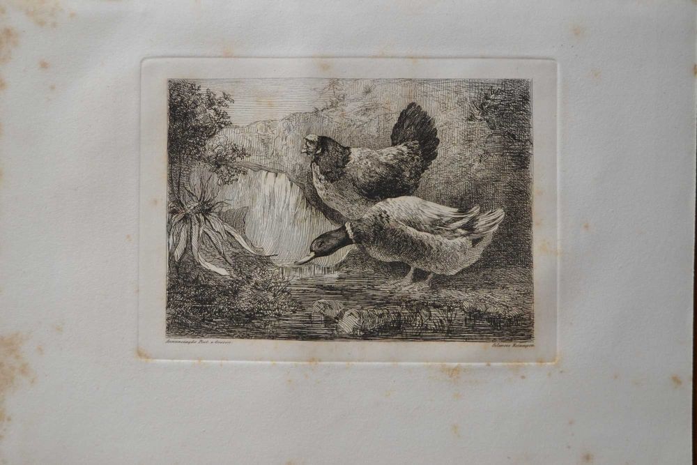 Gravuras Séc XIX - ANTERIORES A 1856