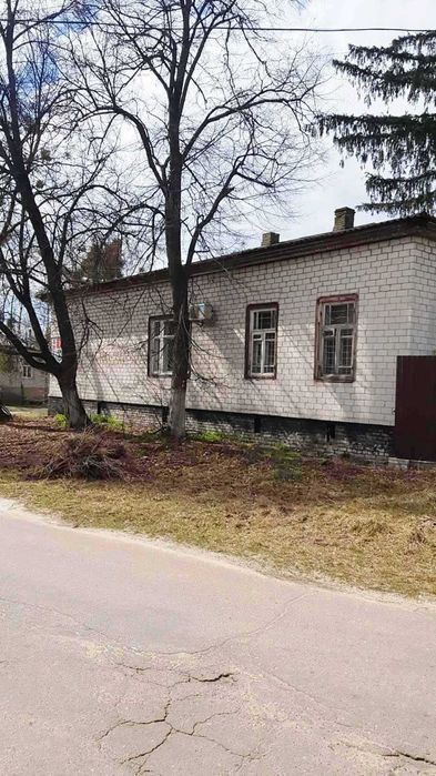 Продам будинок в центрі