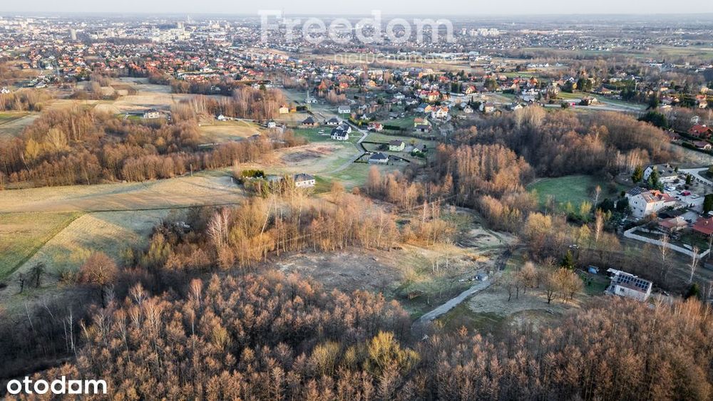49,02 ar pod dom lub inwestycję - Słocina Rzeszów - Widok 5