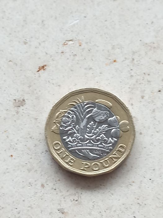 Moeda 1 Pound Elizabeth II D G REG F D 2016