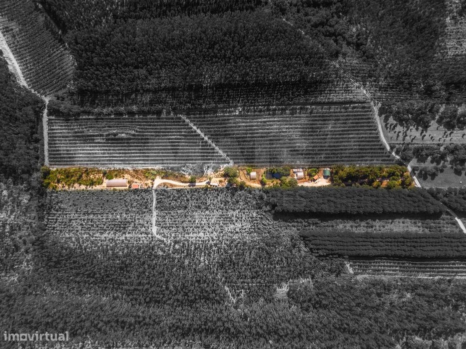 Agricultural Land in Fanadia | 16,100 m² of Potential and Infrastructure...