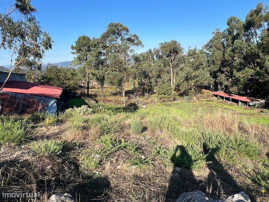 Terreno com 8.600 m2 em Silvares S. Clemente