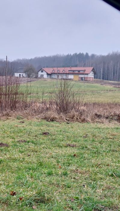 Sprzedam gospodarstwo rolne