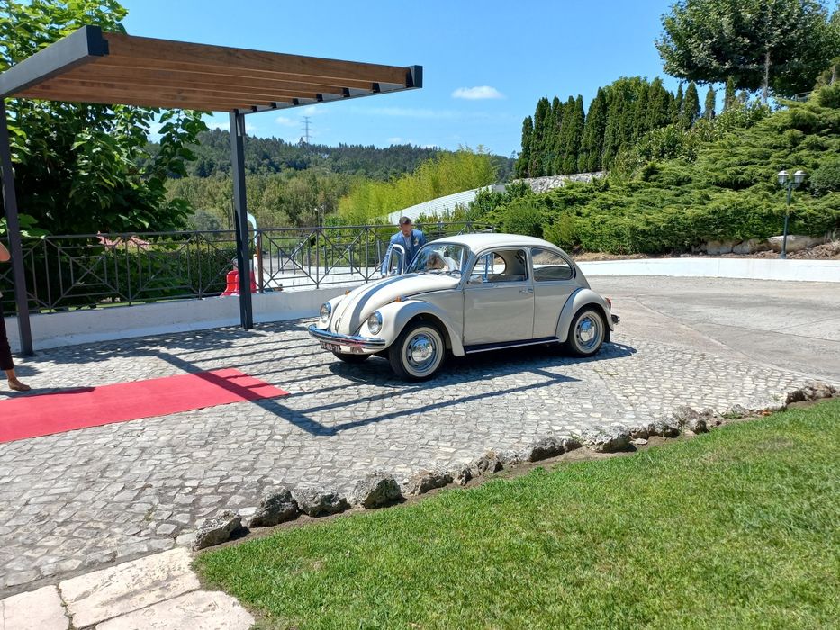 Carro para eventos para 2026