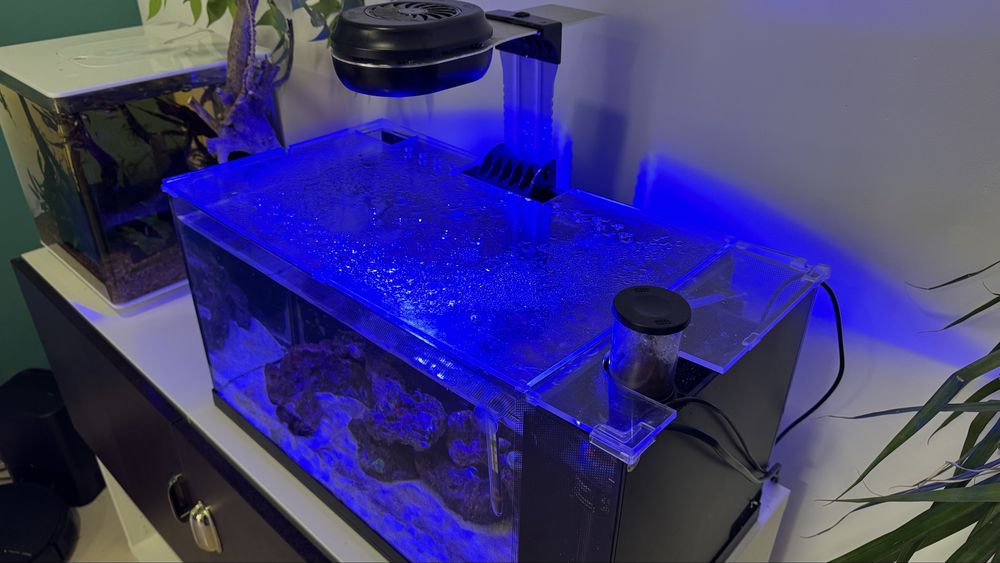 Aquario Marinho Completo 50L