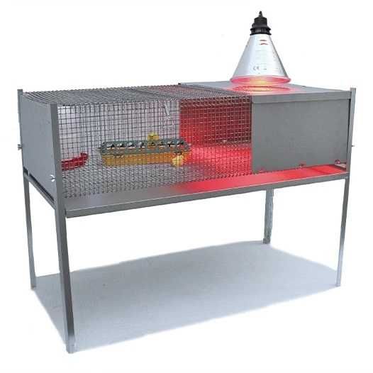 Criadeira Pintos 1ª idade c/ Pernas Eco-Plus