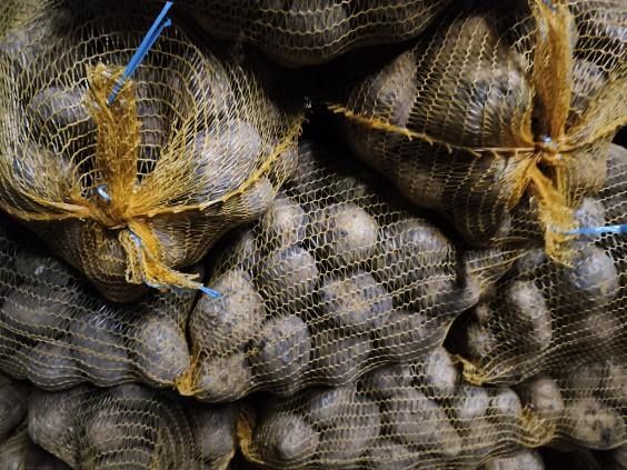 Ziemniaki Soraya 15 kg