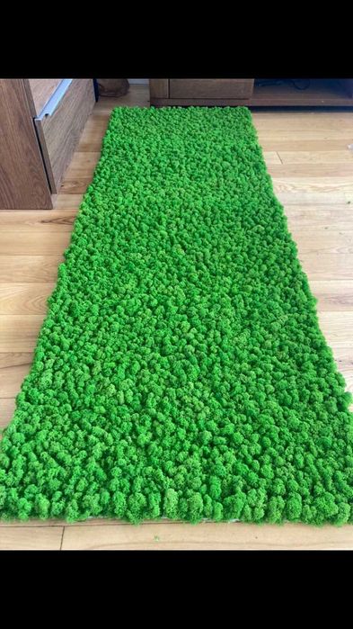 Panele z Mchu Chrobotka panel z Mech Chrobotek