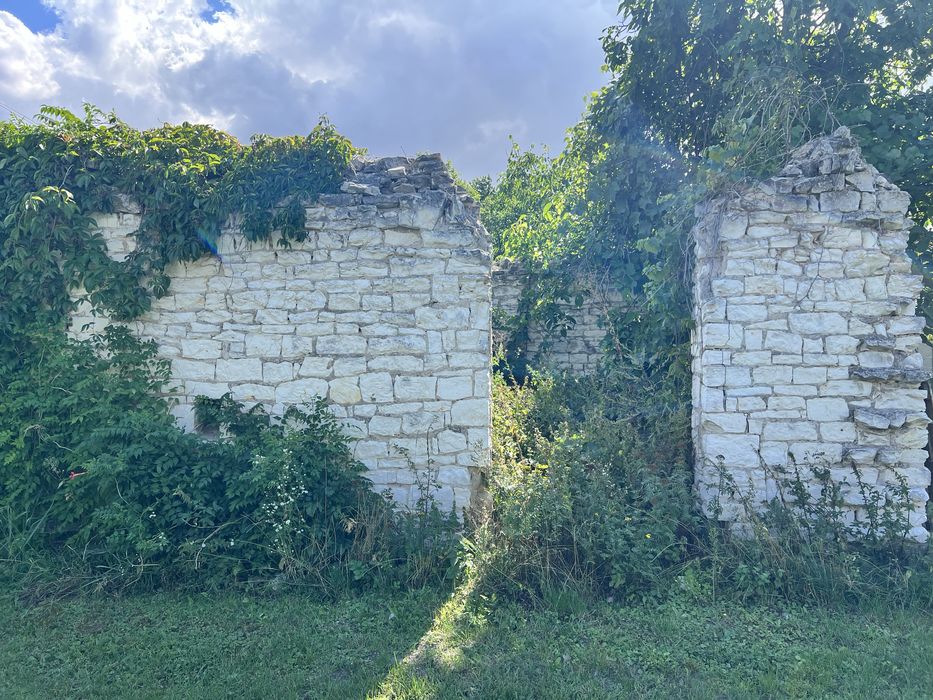 Kamien wapienny