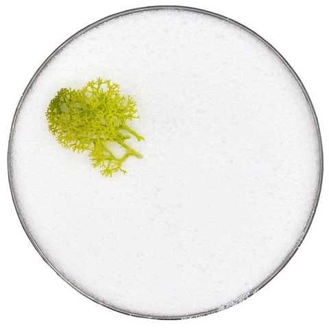 Piasek Kwarcowy Dekoracyjny Jasny LAS W SŁOIKU SZKLE 1KG WYSYŁKA