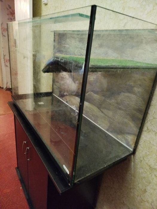 Продам акваріум для черепах б/у