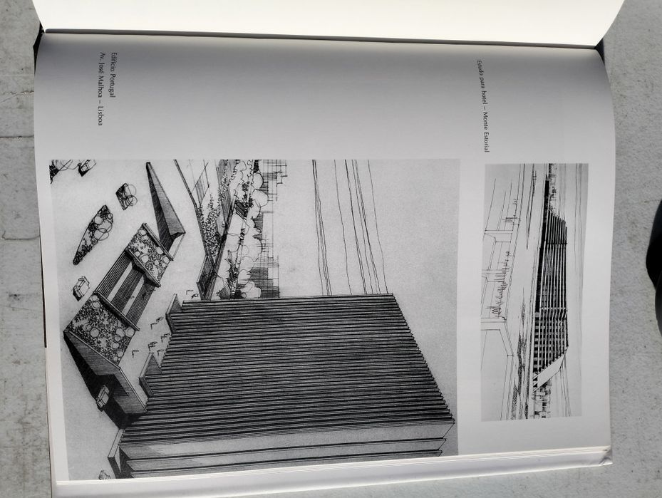 Livro capa rija Almeida Araújo 1993 pintor escultor arquitecto