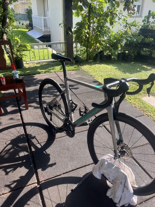 Focus Izalco max
