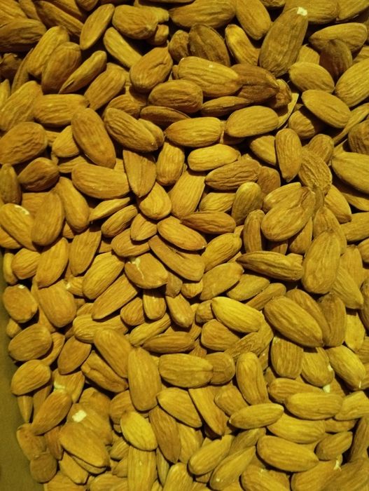 Miolo de amêndoa de 2025