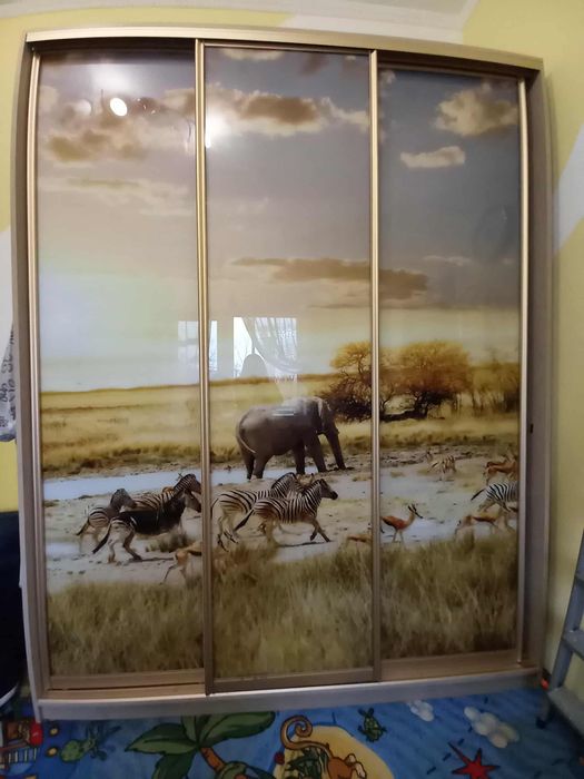 Шафа купе, гарний стан