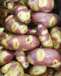 Batata TIGRE PRETA, deliciosa para comêr  Apenas envios