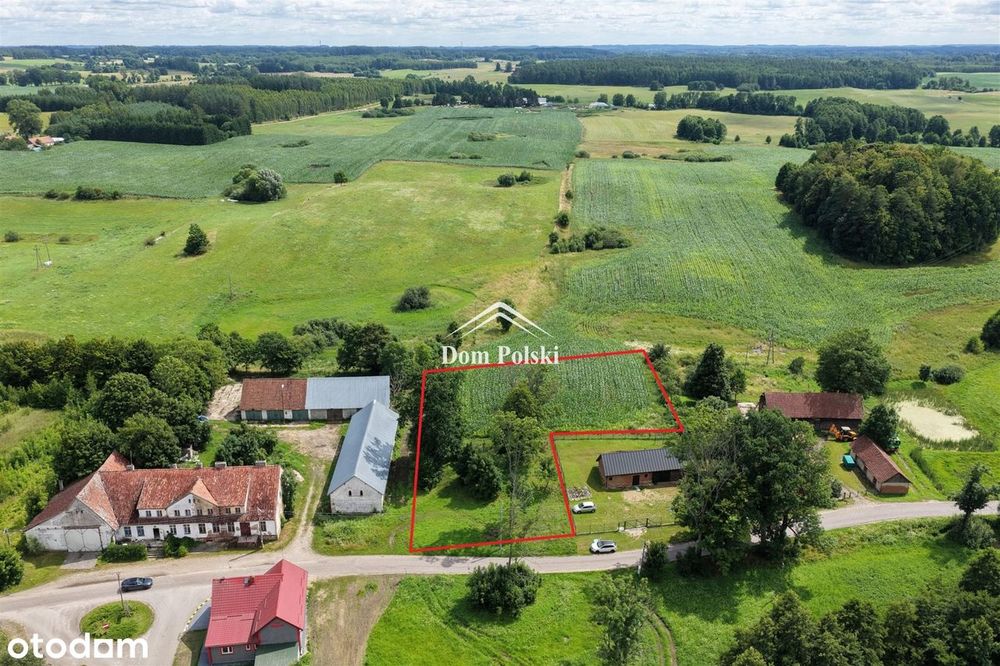 Działka w Puszczy Boreckiej - Mazury - Widok 2