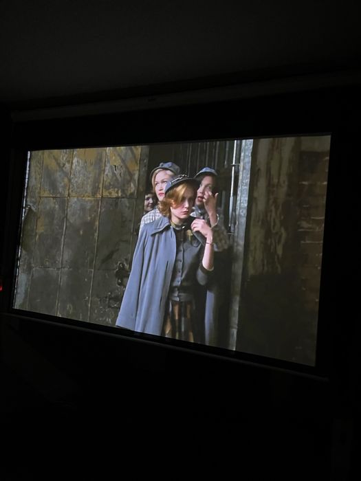 Projetor optoma + tela eletrica de 90 polegadas