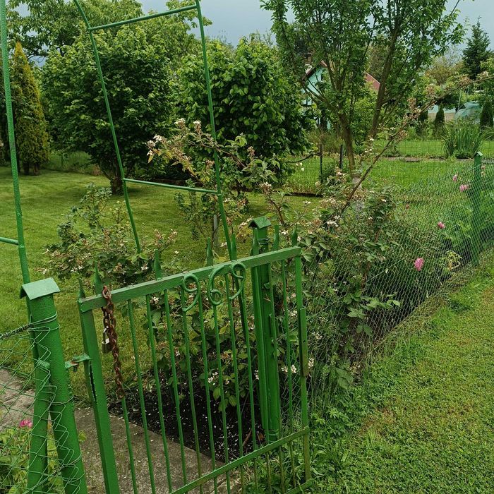 Działka ROD im. Bolesława Chrobrego - Stargard, murowana altana, 306 m² - Widok 4