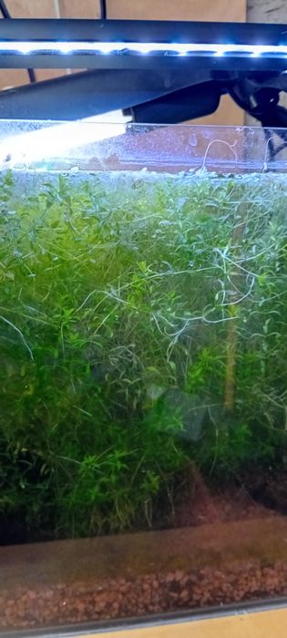 Akwarium  cały zestaw gotowe