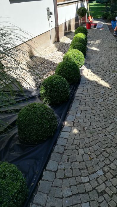 Usługi ogrodnicze Pielęgnacja ogrodu