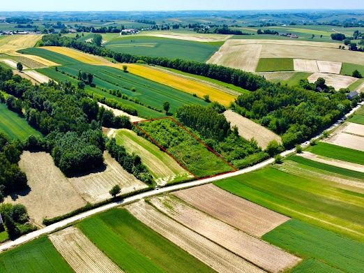 Pałecznica, 4 działki, 95 ar. WZ. Prywatnie.