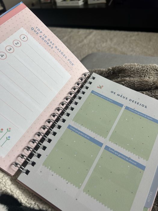 Caderno: organizador pessoal