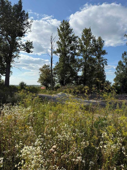 земельна ділянка 10 сот. ОЖБ с. Малі Підліски