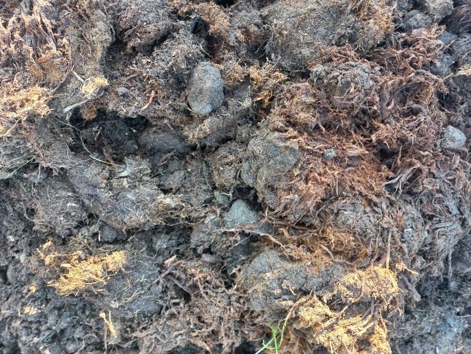 Торф рижий кислий