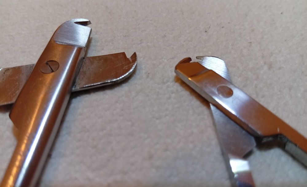 Tesouras para corte anilhas, passaros, aves