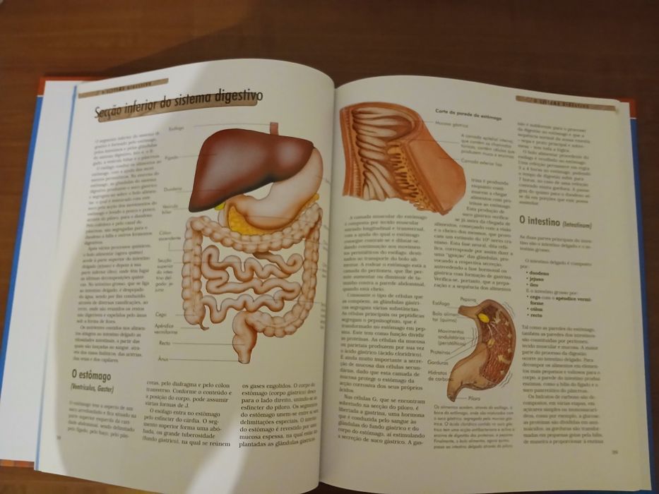 Livro O corpo humano