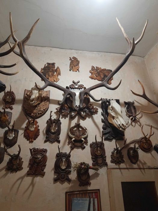 Трофейна колекція