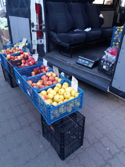 Яблука з власного саду