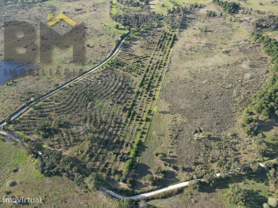 Terreno de 5,3 Hectares na Aldeia de Águas - Penamacor