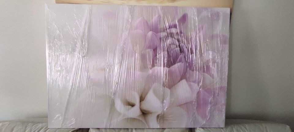 Tela Nova - 120 x 80