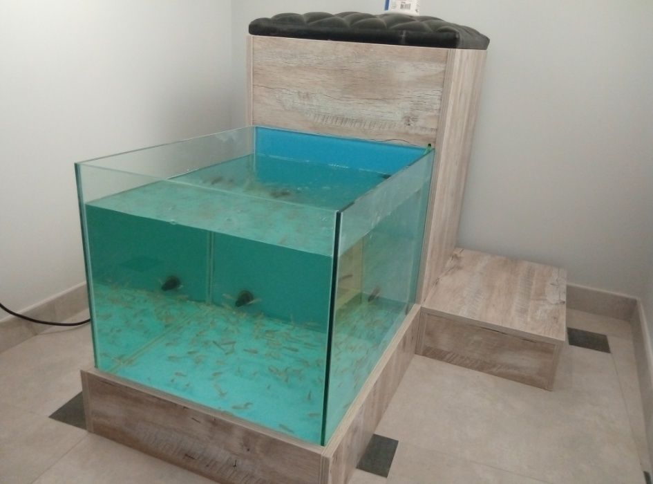 Обслуговування акваріумів декоративних та торгових