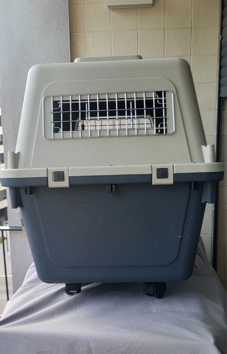 Transportadora de plástico