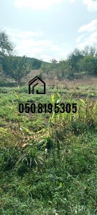 Продається будинок з великим земельний участок